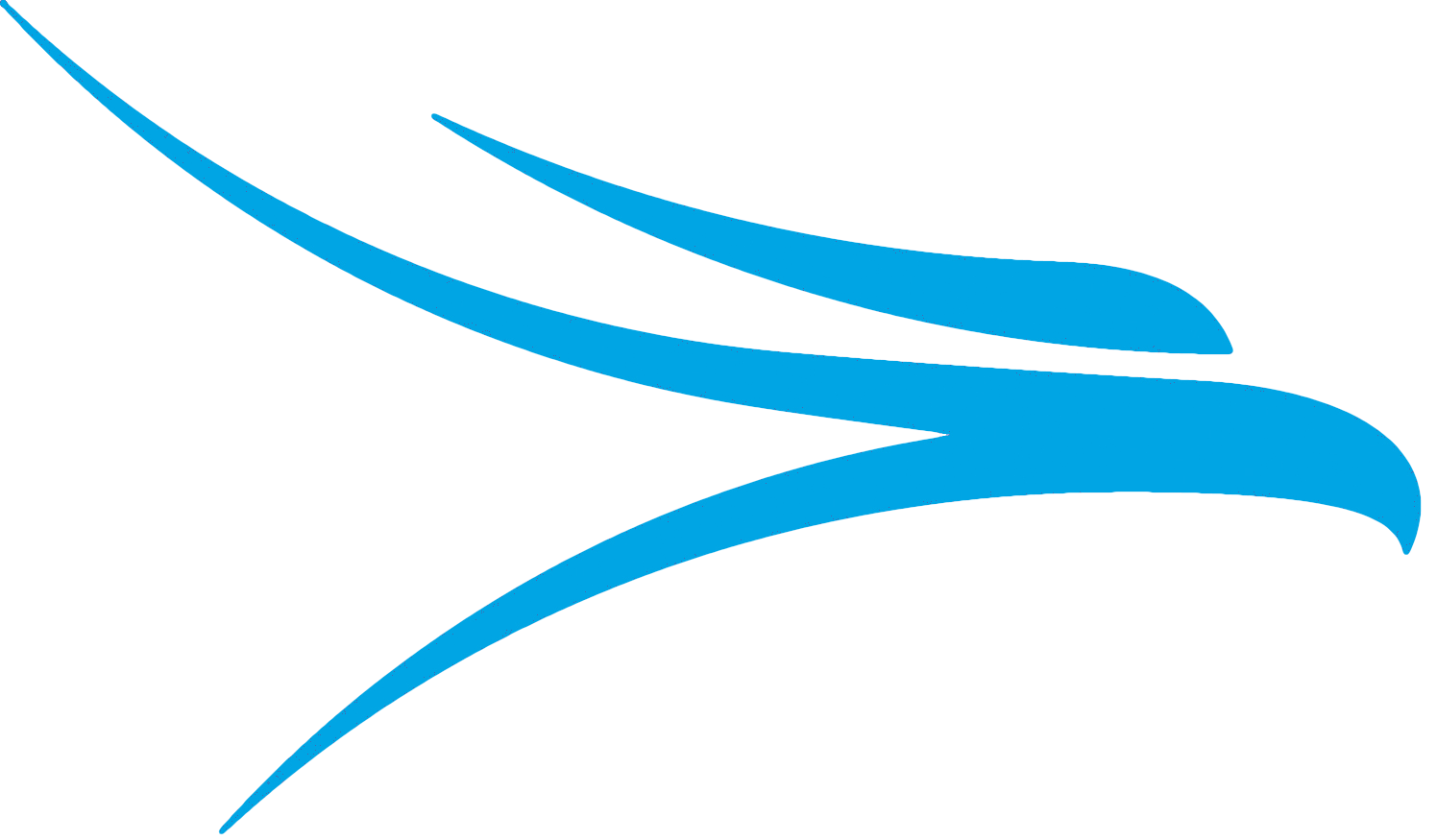 Eagle Logo